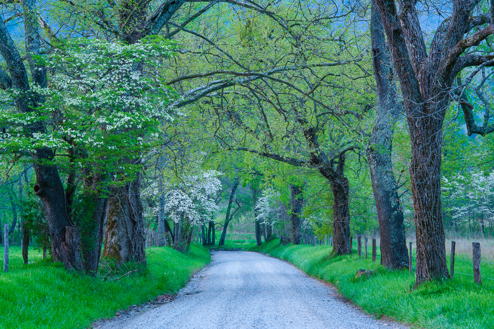 Appalachians