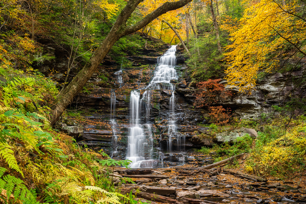 Ricketts Glen